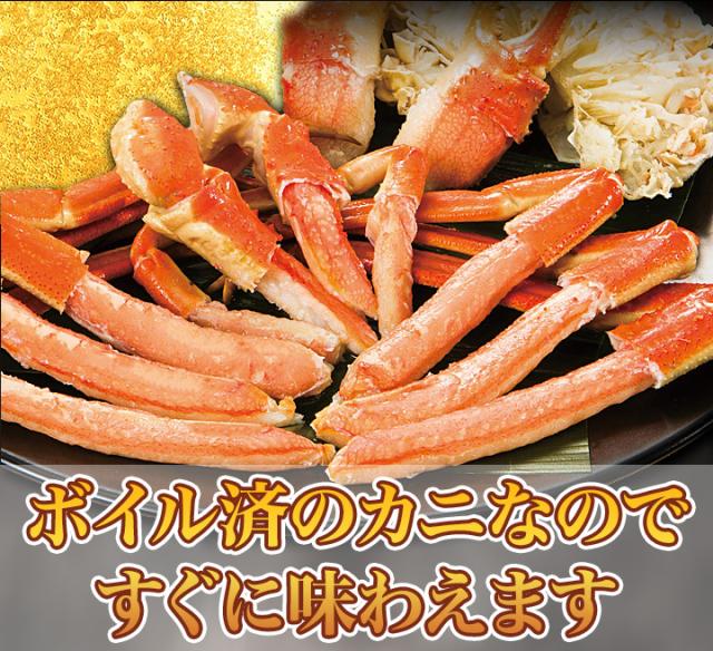 かに カニ 蟹 快適生活 ずわいがに 特特大特選ボイルズワイガニ肩付き脚 総重量:約1.8kg(正味1.5kg) カニ鍋 かにしゃぶ_6