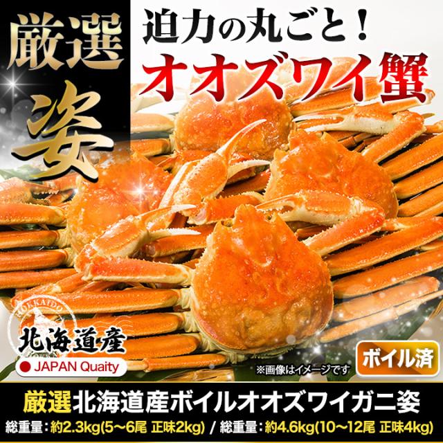 2.3kg ズワイガニ ずわいがに ズワイガニ姿 ずわい姿 カニ姿 ズワイガニ味噌 ボイルズワイ ずわい蟹 厳選北海道産ボイルオオズワイガニ姿 快適生活 カニ鍋 総重量:約2.3kg(5〜6尾 正味2kg)_1