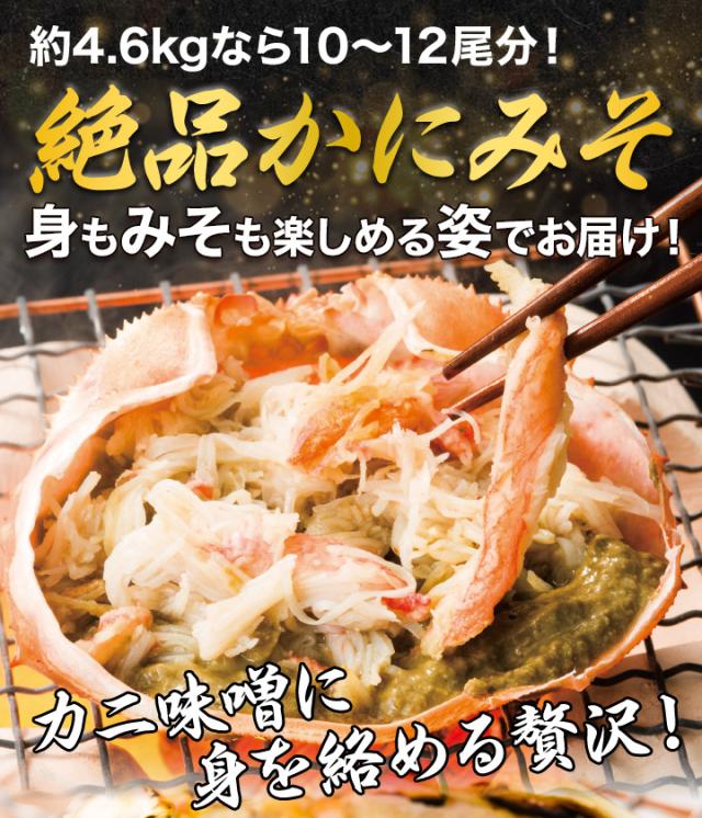 2.3kg ズワイガニ ずわいがに ズワイガニ姿 ずわい姿 カニ姿 ズワイガニ味噌 ボイルズワイ ずわい蟹 厳選北海道産ボイルオオズワイガニ姿 快適生活 カニ鍋 総重量:約2.3kg(5〜6尾 正味2kg)_6