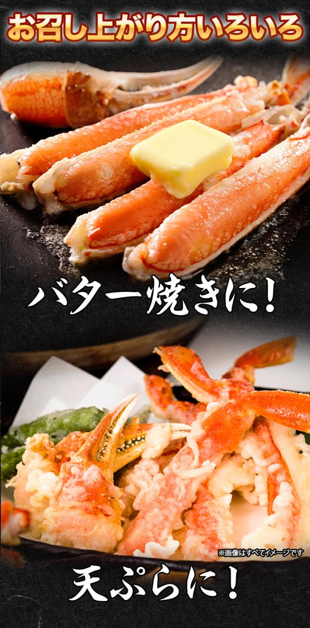 2.3kg ズワイガニ ずわいがに ズワイガニ姿 ずわい姿 カニ姿 ズワイガニ味噌 ボイルズワイ ずわい蟹 厳選北海道産ボイルオオズワイガニ姿 快適生活 カニ鍋 総重量:約2.3kg(5〜6尾 正味2kg)_10