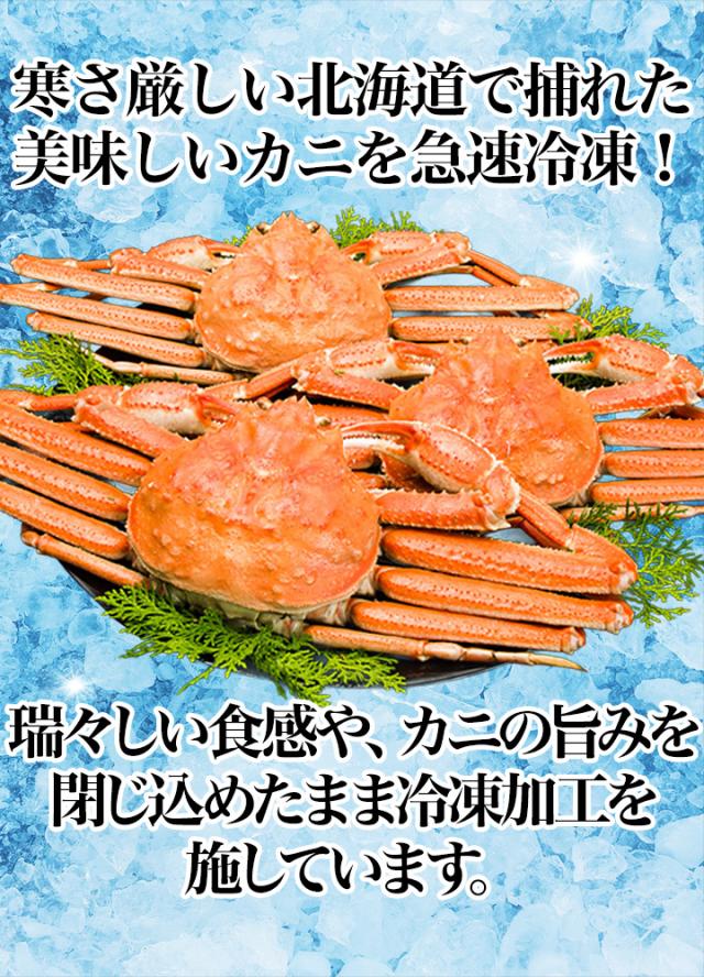 2.3kg ズワイガニ ずわいがに ズワイガニ姿 ずわい姿 カニ姿 ズワイガニ味噌 ボイルズワイ ずわい蟹 厳選北海道産ボイルオオズワイガニ姿 快適生活 カニ鍋 総重量:約2.3kg(5〜6尾 正味2kg)_11