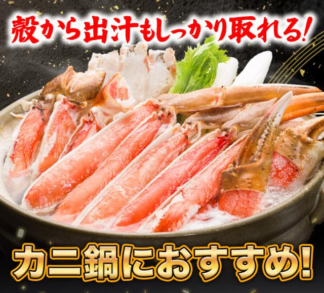 快適生活 ズワイガニ 蟹 贅沢生本ズワイ刺身・鍋セット 総重量:約2.4kg(正味1.8kg) カニ刺し カニ鍋 生食可能_2