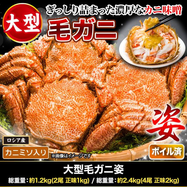 2.4kg 大型毛ガニ 毛がに 毛蟹 けがに かに味噌 蟹みそ 味噌 ボイル 蒸し 大型毛ガニ姿 快適生活 カニ味噌_1