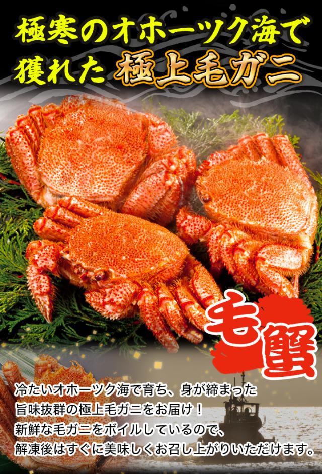 2.4kg 超特大毛ガニ姿 毛がに 毛蟹 けがに かに味噌 蟹みそ 味噌 ボイル 蒸し 大型毛ガニ姿 快適生活 カニ味噌_2
