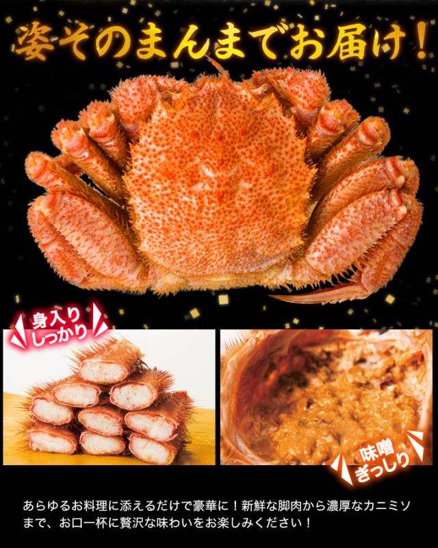 2.4kg 超特大毛ガニ姿 毛がに 毛蟹 けがに かに味噌 蟹みそ 味噌 ボイル 蒸し 大型毛ガニ姿 快適生活 カニ味噌_3