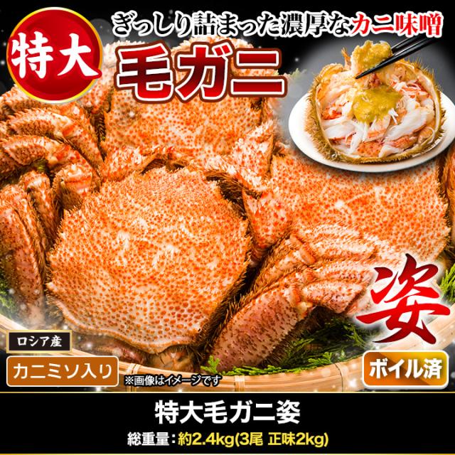 2.4kg 毛ガニ 毛がに 毛蟹 けがに かに味噌 蟹みそ 味噌 ボイル 蒸し 特大毛ガニ姿 快適生活 カニ味噌_1