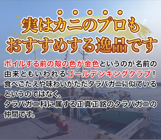快適生活 かに カニ 蟹 ゴールデンキングクラブ棒肉剥き身 (ボイルイバラガニモドキ) 総重量:約1kg(正味800g) イバラガニ イバラガニモドキ_3