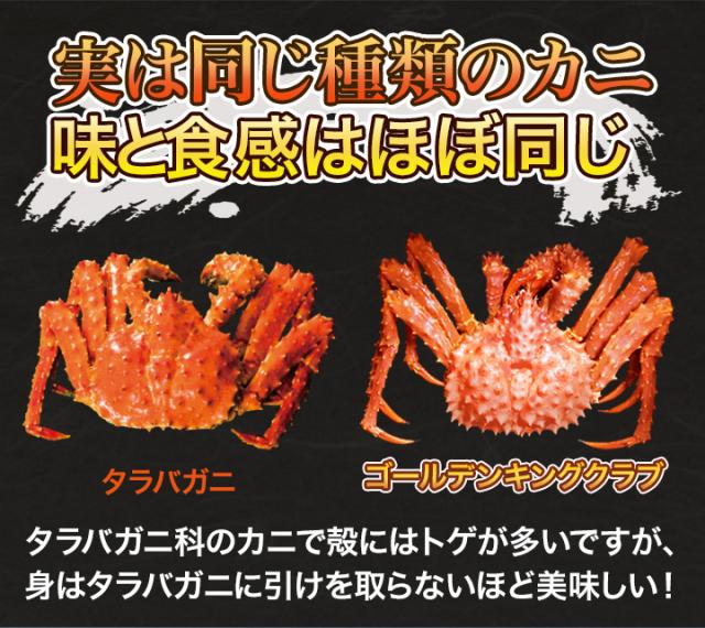快適生活 かに カニ 蟹 ゴールデンキングクラブ棒肉剥き身 (ボイルイバラガニモドキ) 総重量:約1kg(正味800g) イバラガニ イバラガニモドキ_4