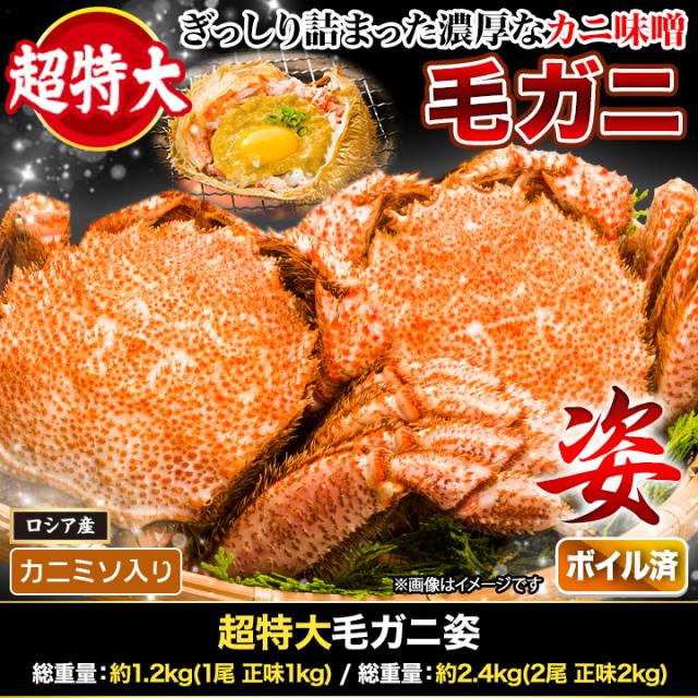2.4kg 超特大毛ガニ姿 毛がに 毛蟹 けがに かに味噌 蟹みそ 味噌 ボイル 蒸し 大型毛ガニ姿 快適生活 カニ味噌_1