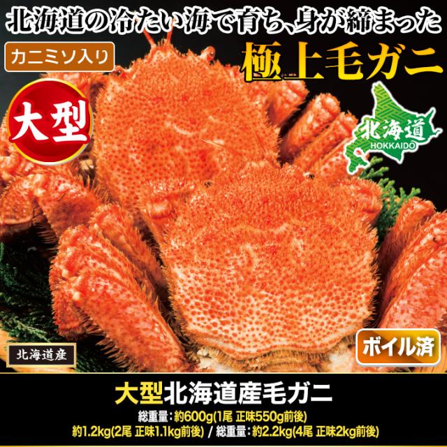 約1.2kg 2尾 毛蟹 カニミソ カニ味噌 姿 鮮度抜群 ボイル 茹で 大型北海道産毛ガニ 快適生活 かに カニ 蟹_1