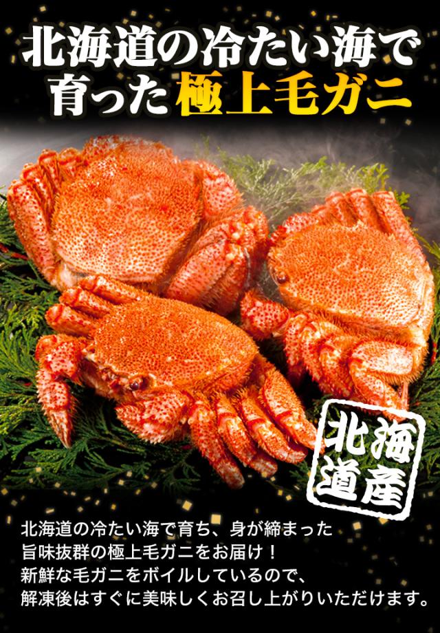 約1.2kg 2尾 毛蟹 カニミソ カニ味噌 姿 鮮度抜群 ボイル 茹で 大型北海道産毛ガニ 快適生活 かに カニ 蟹_2