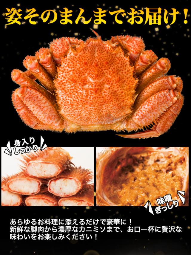 約1.2kg 2尾 毛蟹 カニミソ カニ味噌 姿 鮮度抜群 ボイル 茹で 大型北海道産毛ガニ 快適生活 かに カニ 蟹_3