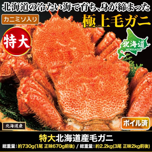 約730g 1尾 毛蟹 カニミソ カニ味噌 姿 鮮度抜群 ボイル 茹で 特大北海道産毛ガニ 快適生活 かに カニ 蟹_1