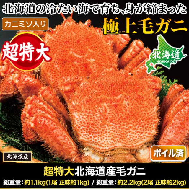 約2.2kg 2尾 毛蟹 カニミソ カニ味噌 姿 鮮度抜群 ボイル 茹で 超特大北海道産毛ガニ 快適生活 かに カニ 蟹_1