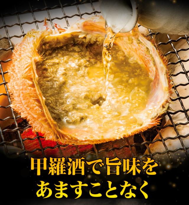 約2.2kg 2尾 毛蟹 カニミソ カニ味噌 姿 鮮度抜群 ボイル 茹で 超特大北海道産毛ガニ 快適生活 かに カニ 蟹_6