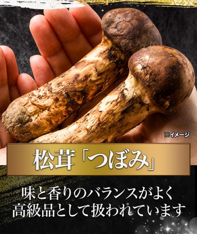 マツタケ まつたけ 天然 快適生活 天然高級 松茸つぼみ 250g つぼみ 土瓶蒸し 松茸ご飯 秋 和食_3