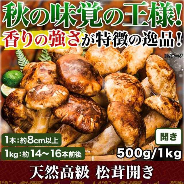 マツタケ まつたけ 天然 快適生活 天然高級 松茸開き 1kg ひらき 開き 土瓶蒸し 松茸ご飯 秋 和食_1