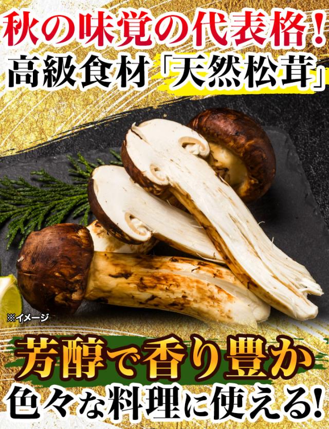 極上松茸 230g 宮城県気仙沼産 極上松茸 230g 宮城県気仙沼産 【公式通販】