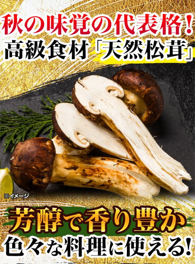 マツタケ まつたけ 天然 快適生活 天然高級 松茸不揃い 1kg 土瓶蒸し 松茸ご飯 秋 和食_2