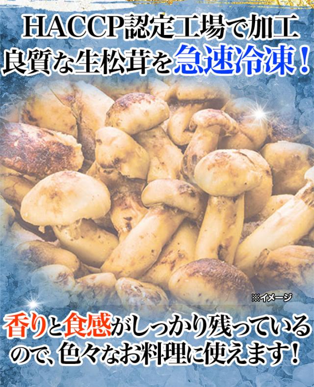 マツタケ まつたけ 天然 快適生活 天然高級 松茸不揃い 1kg 土瓶蒸し 松茸ご飯 秋 和食_3