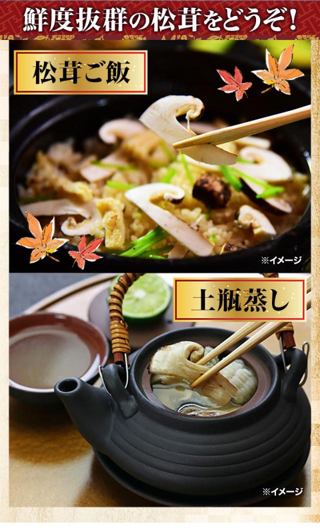 マツタケ まつたけ 天然 快適生活 天然高級 松茸不揃い 1kg 土瓶蒸し 松茸ご飯 秋 和食_4
