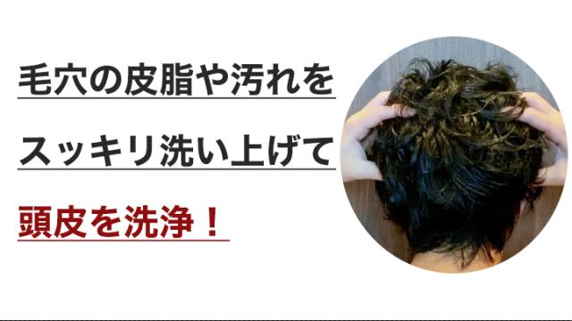 快適生活 ヘアキューブ「クレンジングシャンプー」3本_2