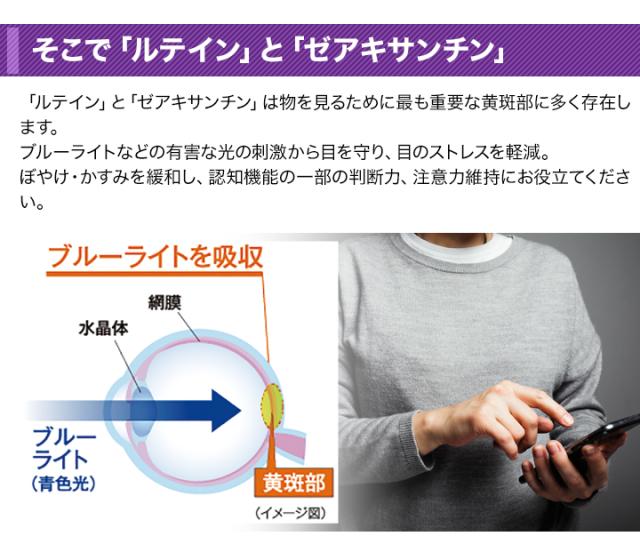 快適生活 機能性表示食品「ひとみルテイン」5袋_4