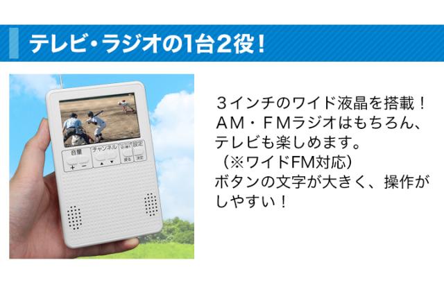 テレビ受像機 ラジオ受信機 小型 好いたらしい生きて行く 飾り気の無いポケットテレビラジオ+乾電池4本 携帯型テレビ受像機 防災テレビ受像機 ワンセグ 持っていくテレビ受像機 車