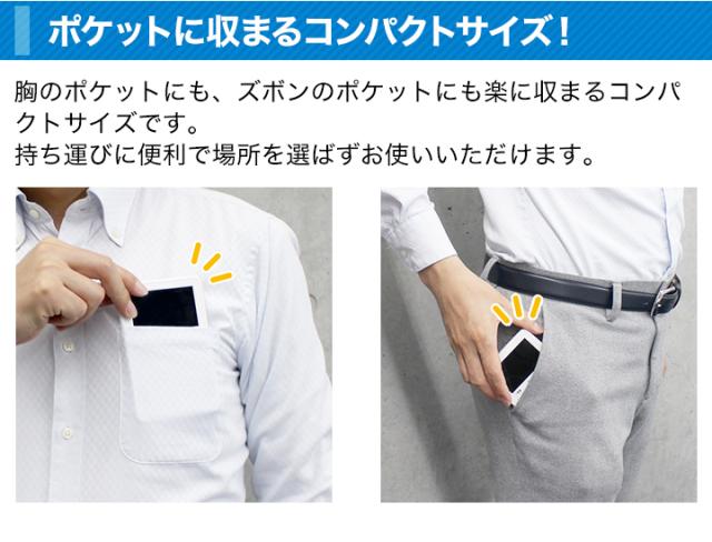 テレビ受像機 ラジオ受信機 小型 好いたらしい生きて行く 飾り気の無いポケットテレビラジオ+乾電池4本 携帯型テレビ受像機 防災テレビ受像機 ワンセグ 持っていくテレビ受像機 車