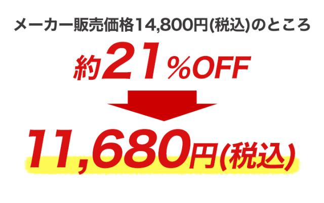 テレビ受像機 ラジオ受信機 小型 好いたらしい生きて行く 飾り気の無いポケットテレビラジオ+乾電池4本 携帯型テレビ受像機 防災テレビ受像機 ワンセグ 持っていくテレビ受像機 車