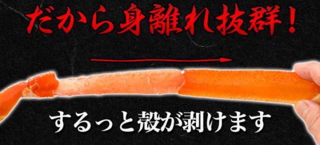 快適生活 かに カニ 蟹 ボイルズワイガニ姿まるごと 総重量:約2.4kg(5尾 正味2kg)