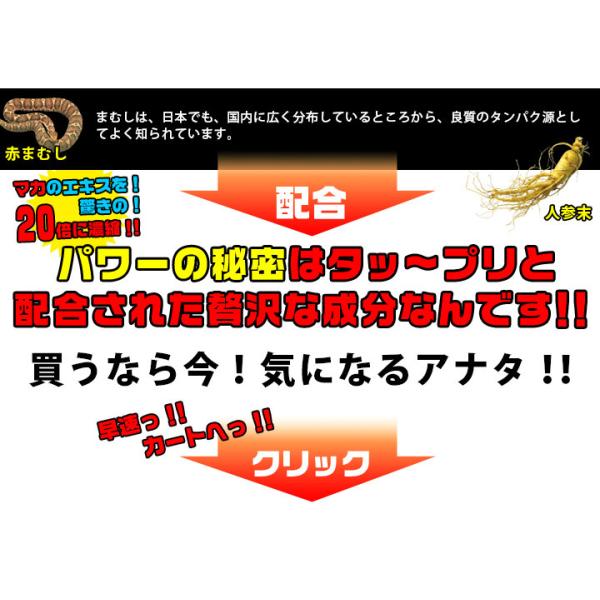 マカ サプリ 快適生活 サプリメント 「パワフルナイトマックス」 7袋セット すっぽん まむし 亜鉛 1か月分 男性 持続 活力_3