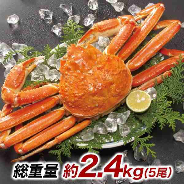 快適生活 かに カニ 蟹 ボイルズワイガニ姿まるごと 総重量:約2.4kg(5尾 正味2kg)