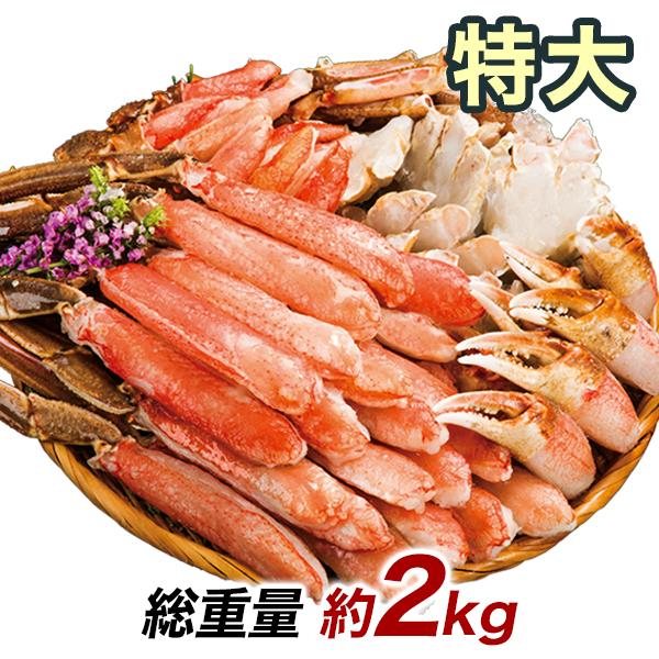 かに カニ 蟹 快適生活 ポーション ずわいがに 生 特大極上お刺身用ズワイガニ脚剥き身 総重量:約2kg(正味1.6kg) カニ鍋 かにしゃぶ