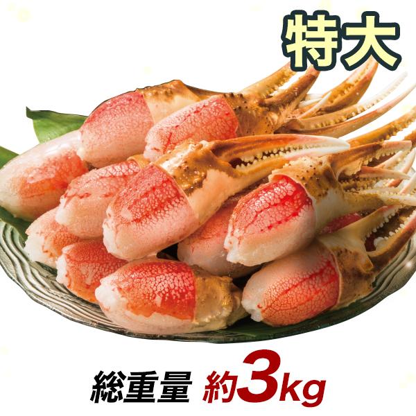 かに カニ 蟹 快適生活 ずわいがに 旨味凝縮！ボイルずわい爪肉剥き身 総重量：約3kg(正味2.4kg) 2セット 焼きガニ
