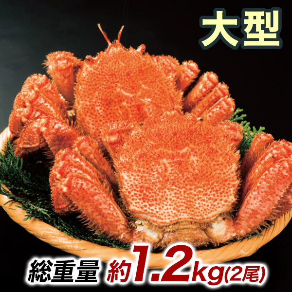 約1.2kg 2尾 毛蟹 カニミソ カニ味噌 姿 鮮度抜群 ボイル 茹で 大型北海道産毛ガニ 快適生活 かに カニ 蟹