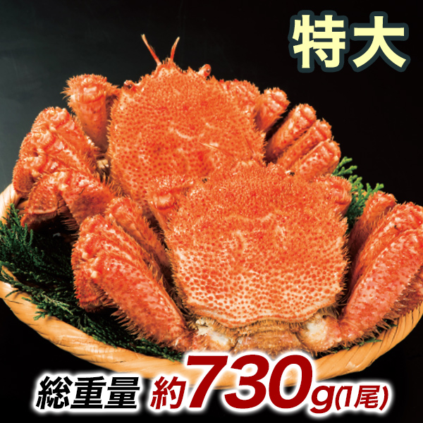 約730g 1尾 毛蟹 カニミソ カニ味噌 姿 鮮度抜群 ボイル 茹で 特大北海道産毛ガニ 快適生活 かに カニ 蟹