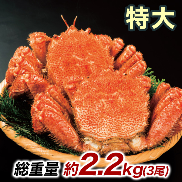 約2.2kg 3尾 毛蟹 カニミソ カニ味噌 姿 鮮度抜群 ボイル 茹で 特大北海道産毛ガニ 快適生活 かに カニ 蟹