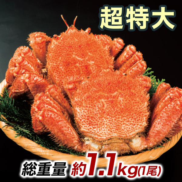約1.1kg 1尾 毛蟹 カニミソ カニ味噌 姿 鮮度抜群 ボイル 茹で 超特大北海道産毛ガニ 快適生活 かに カニ 蟹