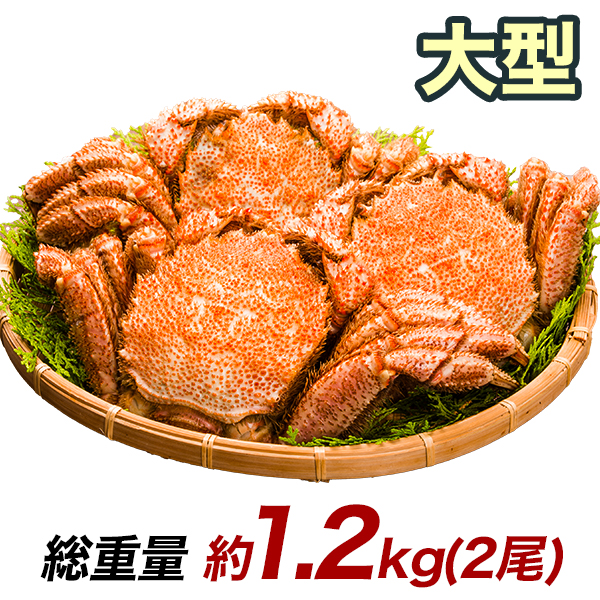 東洋ナッツ トン 有機栽培レーズン 大 270g×10袋入×(2ケース)｜ 送料