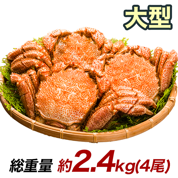 2.4kg 大型毛ガニ 毛がに 毛蟹 けがに かに味噌 蟹みそ 味噌 ボイル 蒸し 大型毛ガニ姿 快適生活 カニ味噌