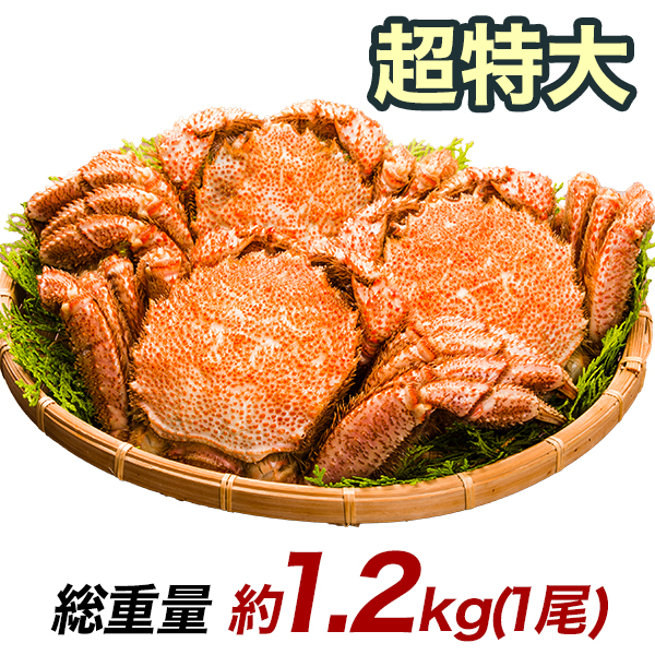 1.2kg 超特大毛ガニ姿 毛がに 毛蟹 けがに かに味噌 蟹みそ 味噌 ボイル 蒸し 大型毛ガニ姿 快適生活 カニ味噌
