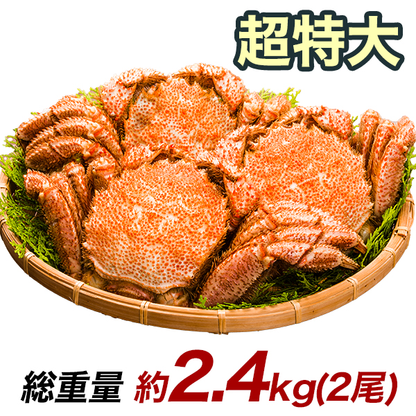 2.4kg 超特大毛ガニ姿 毛がに 毛蟹 けがに かに味噌 蟹みそ 味噌 ボイル 蒸し 大型毛ガニ姿 快適生活 カニ味噌