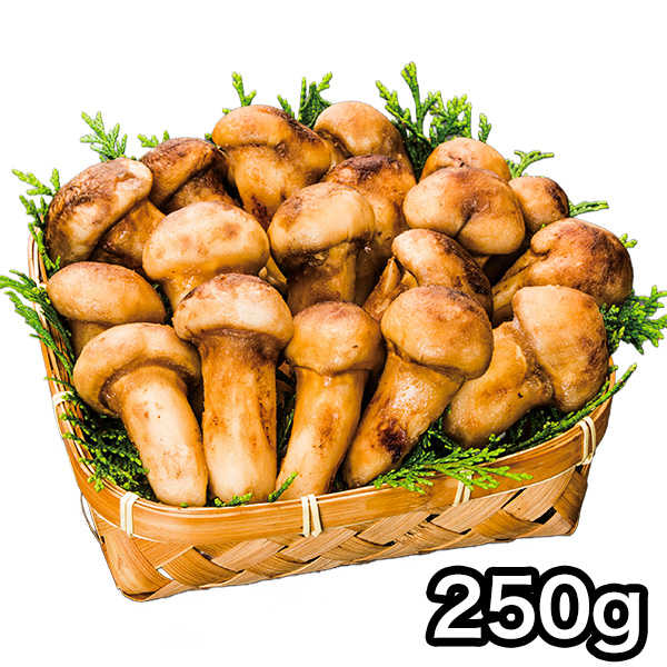 マツタケ まつたけ 天然 快適生活 天然高級 松茸つぼみ 250g つぼみ 土瓶蒸し 松茸ご飯 秋 和食