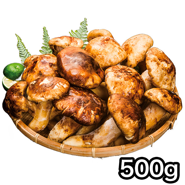 マツタケ まつたけ 天然 快適生活 天然高級 松茸開き 500g ひらき 開き 土瓶蒸し 松茸ご飯 秋 和食