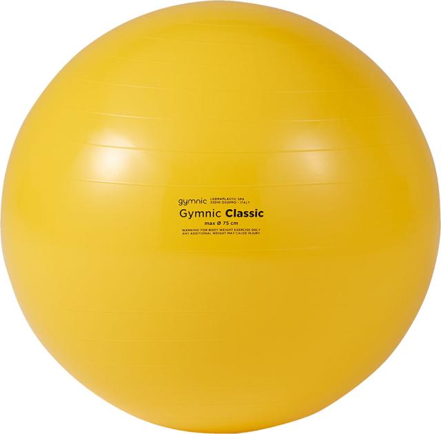 ダンノ DANNO ギムニクカラーボール75 イエロー 黄 ギムニク ギムニクボール バランスボール ながら運動 バランストレーニング 体幹トレーニング 体幹 筋トレ D5433の通販は