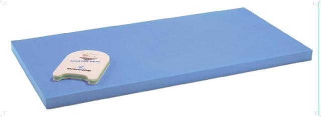 エバニュー Evernew 【メーカー直送品】 浮島200ST 体育 授業 体育授業 体つくり 部活 運動 浮島  EHA182 B