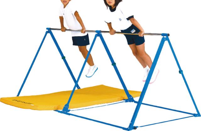 エバニュー Evernew 【メーカー直送品】 折りたたみ三角鉄棒 2 コンパクト 折り畳み式 屋内 屋外 小学校 低学年 2枠式 工具組み立て 授業 学校体育 EKD368