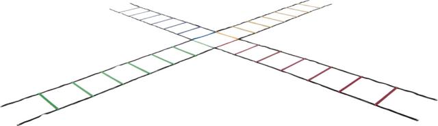 エバニュー Evernew 4色マルチラダーロープ 学校体育 体育 部活 授業 クラブ チーム ラダー トレーニング 体幹 基礎トレ ETE063