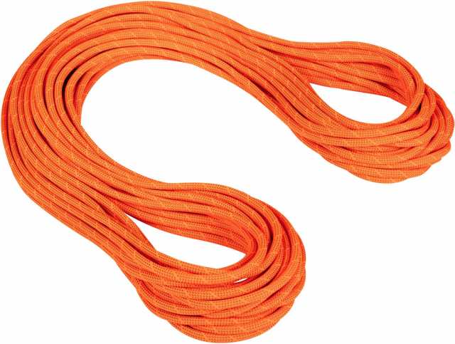 MAMMUT マムート アウトドア 9．8 Crag Dry Rope 2010−04280 201004280A 11238